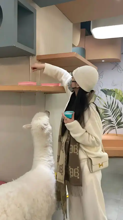 色偷偷亚洲亚洲专区色偷偷亚洲精品色综合：社会共治需要合力